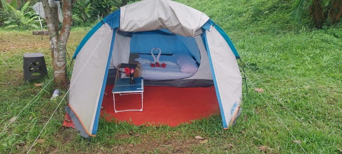 Munnar Tent Hills Resort Devikolam エクステリア 写真
