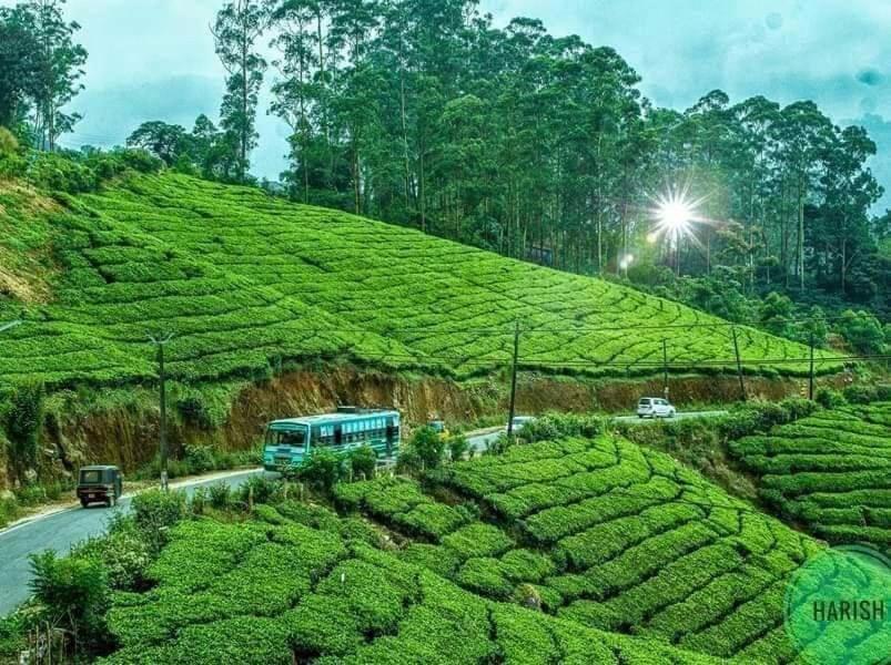 Munnar Tent Hills Resort Devikolam エクステリア 写真