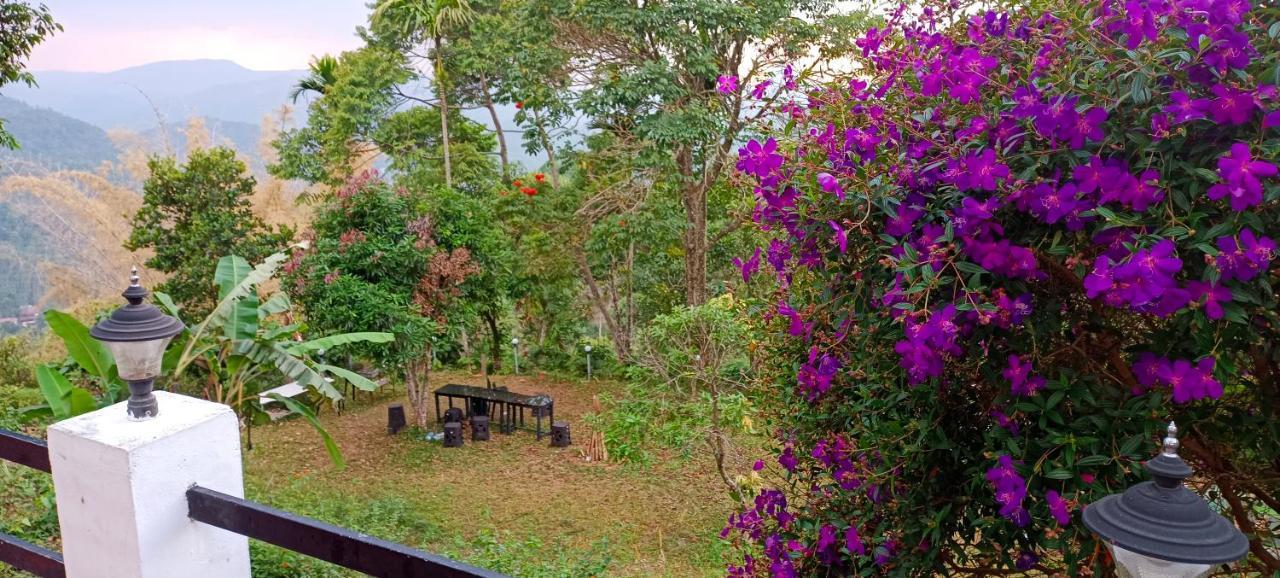 Munnar Tent Hills Resort Devikolam エクステリア 写真