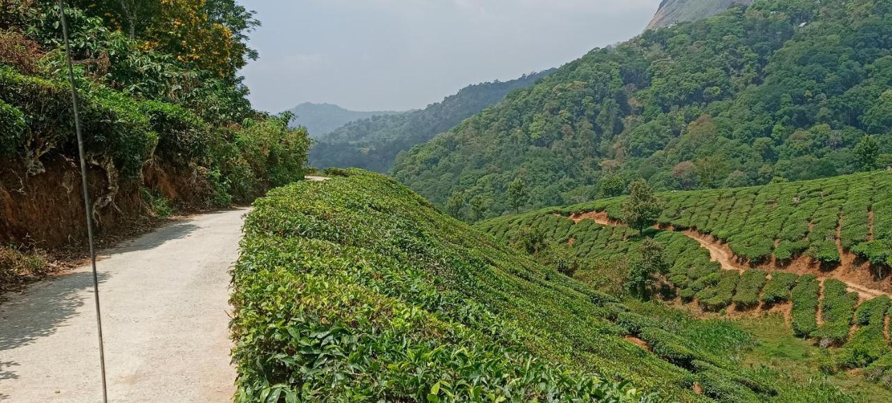 Munnar Tent Hills Resort Devikolam エクステリア 写真